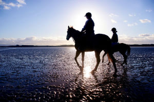 Students Horse Riding on the Beach